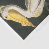 James Audubon Pelican Decoupage Tissue Nautical Seidenpapier (Ausschnitt)