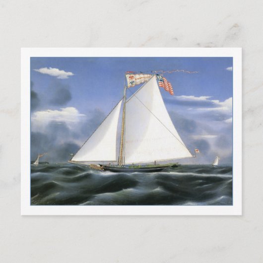 James Bard American Eagle Fine Art Postkarte (Vorderseite)