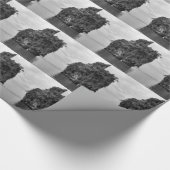 James Bond-Insel Geschenkpapier (Ecke)