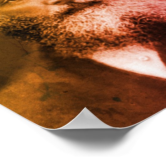 James Clerk Maxwell Poster (Ecke)