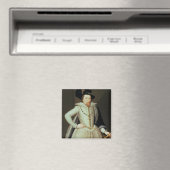 James I., Halbbild Magnet (In Situ (Geschirrspüler))