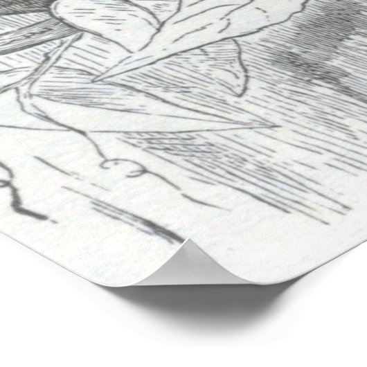 James Johonnot - Chameleon Poster (Ecke)