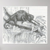 James Johonnot - Chameleon Poster (Vorne)