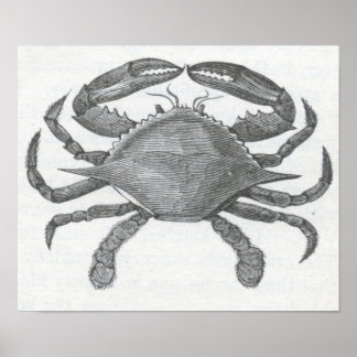 James Johonnot - Essble Crab Poster