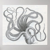 James Johonnot - Octopus Poster (Vorne)
