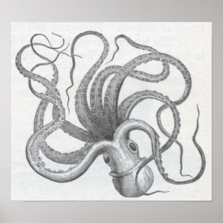 James Johonnot - Octopus Poster