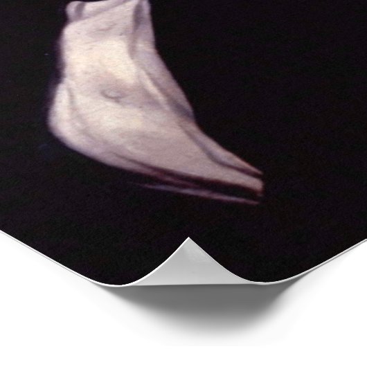 James K. Polk 11. US-Präsident Poster (Ecke)