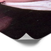 James Monroe Poster (Ecke)