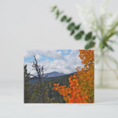 James Peak, Colorado Postkarte (Stehend Vorderseite)