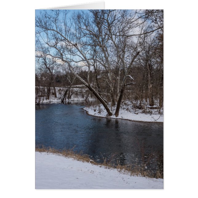 James River Cuts Back (Vorne)