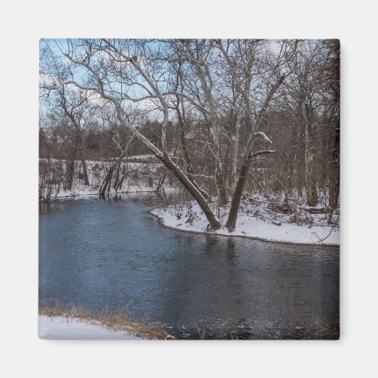 James River Cuts Back Magnet (Vorne)