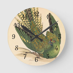 James Sowerby Bodensittich, Psittacus terrestris Runde Wanduhr