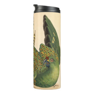 James Sowerby Bodensittich, Psittacus terrestris Thermosbecher