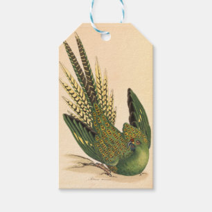 James Sowerby Ground Parrot, Psittacus terrestris Geschenkanhänger
