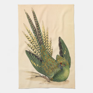 James Sowerby Ground Parrot, Psittacus terrestris Geschirrtuch