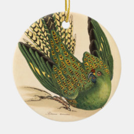 James Sowerby Ground Parrot, Psittacus terrestris Keramik Ornament