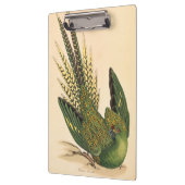 James Sowerby Ground Parrot, Psittacus terrestris Klemmbrett (Links)
