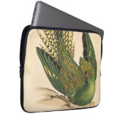 James Sowerby Ground Parrot, Psittacus terrestris Laptopschutzhülle (Vorne Rechts)