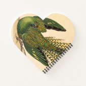 James Sowerby Ground Parrot, Psittacus terrestris Notizblock (Rückseite)