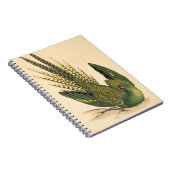 James Sowerby Ground Parrot, Psittacus terrestris Notizblock (Rechte Seite)