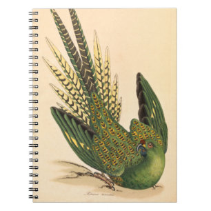James Sowerby Ground Parrot, Psittacus terrestris Notizblock
