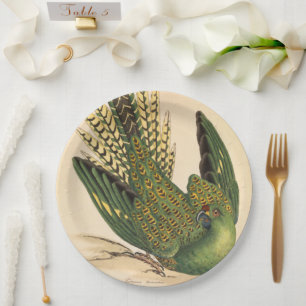 James Sowerby Ground Parrot, Psittacus terrestris Pappteller