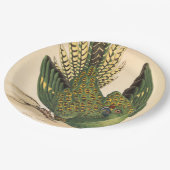 James Sowerby Ground Parrot, Psittacus terrestris Pappteller (Schrägansicht)