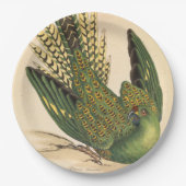 James Sowerby Ground Parrot, Psittacus terrestris Pappteller (Vorderseite)
