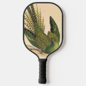 James Sowerby Ground Parrot, Psittacus terrestris Pickleball Schläger (Rückseite)