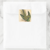 James Sowerby Ground Parrot, Psittacus terrestris Quadratischer Aufkleber (Tasche)