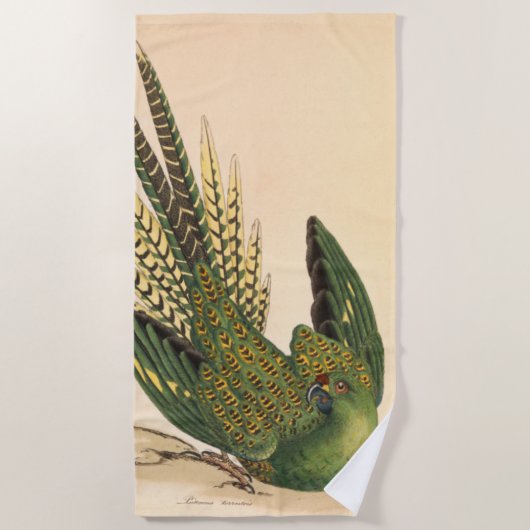 James Sowerby Ground Parrot, Psittacus terrestris Strandtuch (Vorderseite)