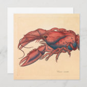 James Sowerby Serrated Lobster (Vorne/Hinten)