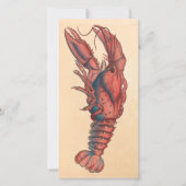 James Sowerby Serrated Lobster (Vorderseite)