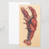 James Sowerby Serrated Lobster (Vorne/Hinten)