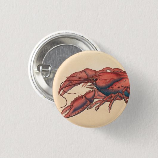 James Sowerby Serrated Lobster Button (Vorne & Hinten)