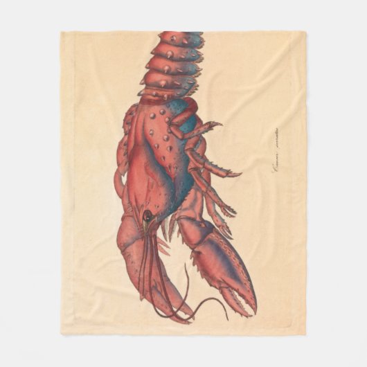 James Sowerby Serrated Lobster Fleecedecke (Vorderseite)