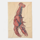 James Sowerby Serrated Lobster Geschirrtuch (Vertikal)