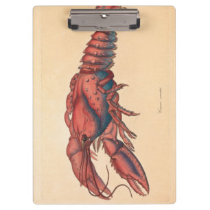 James Sowerby Serrated Lobster Klemmbrett