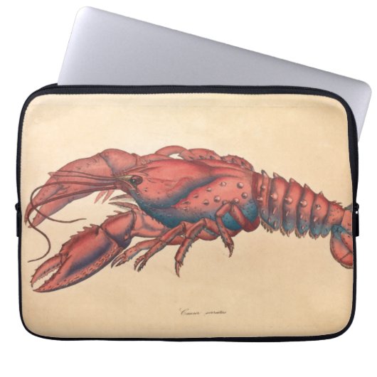 James Sowerby Serrated Lobster Laptopschutzhülle (Vorderseite)