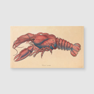 James Sowerby Serrated Lobster Magnetkarte