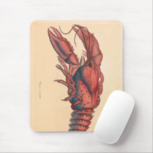 James Sowerby Serrated Lobster Mousepad