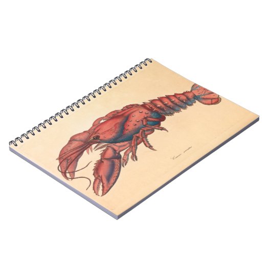 James Sowerby Serrated Lobster Notebook Notizblock (Linke Seite)
