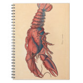 James Sowerby Serrated Lobster Notebook Notizblock (Vorderseite)