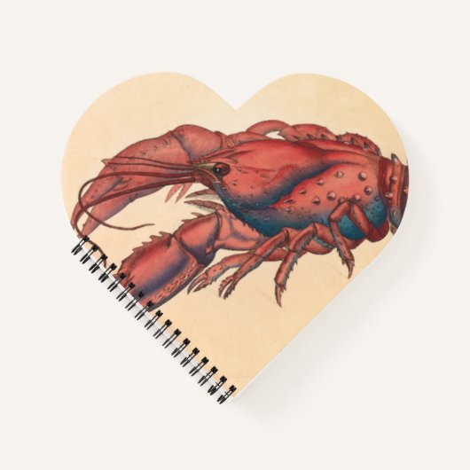 James Sowerby Serrated Lobster Notizblock (Vorderseite)