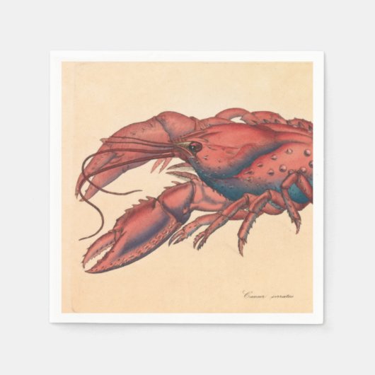 James Sowerby Serrated Lobster Serviette (Vorderseite)