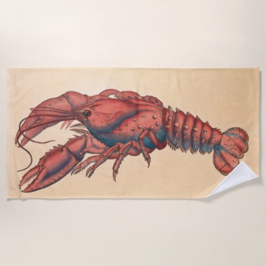 James Sowerby Serrated Lobster Strandtuch (Vorderseite)