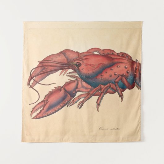 James Sowerby Serrated Lobster Wandteppich (Vorderseite)