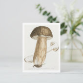 James Sowerbys farbige Figuren des englischen Fung Postkarte (Stehend Vorderseite)