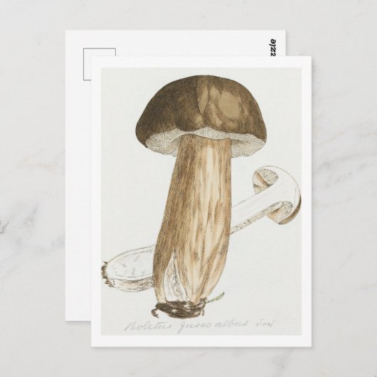 James Sowerbys farbige Figuren des englischen Fung Postkarte (Vorne/Hinten)