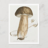 James Sowerbys farbige Figuren des englischen Fung Postkarte (Vorderseite)